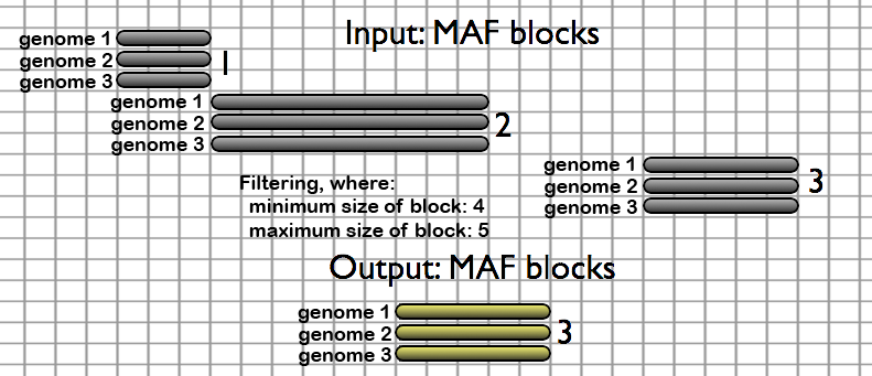 The Filter MAF blocks by Size tool removes alignment blocks that fall outside of a specified size range. Here all blocks which have more than 5 or less than 4 alignments columns are removed.