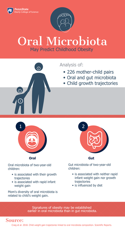 The composition of oral microbiota -- the collection of microorganisms, including beneficial bacteria, residing in the mouth -- in two-year-old children may predict their weight gain, according to a new study of over 226 children and their mothers. (Click to enlarge)<br><br>Image credit: Penn State