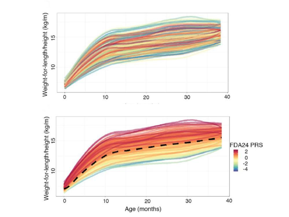 *Penn State researchers used novel statistical methods to analyze growth curves of children from birth until three years of age. The curves, which are presented in the top panel with a unique color for each child, were also combined with genetic information to develop obesity risk scores. Curves in the bottom panel are color-coded to correspond to these risk scores, with higher scores (red) indicating a greater risk of a child developing obesity.* ***Credit: Sarah Craig et al., Econometrics and Statistics. All Rights Reserved.***