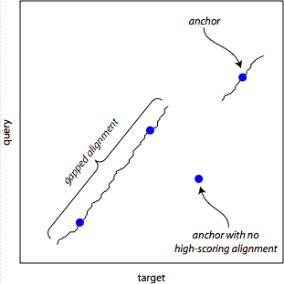 anchors and gapped extensions