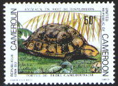 sample stamp