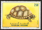 sample stamp