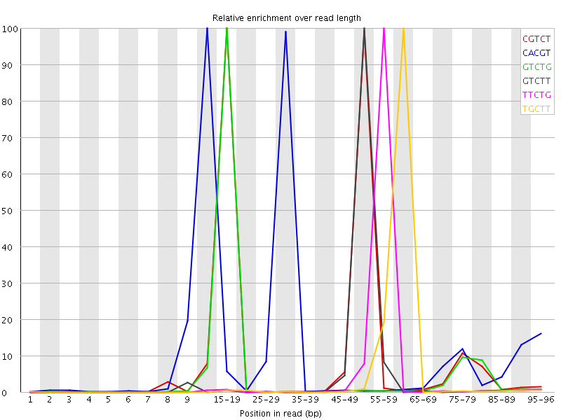 Kmer graph
